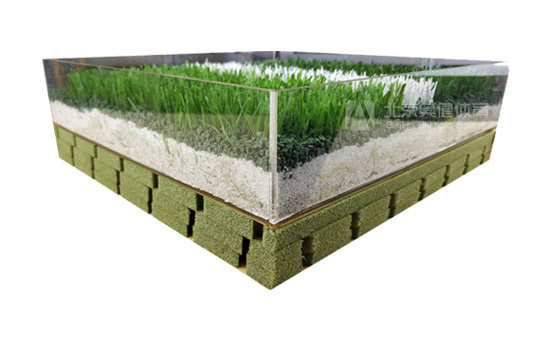 草坪足球場施工結(jié)構(gòu)圖