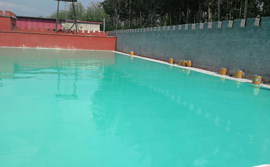 硅pu球場面層厚度