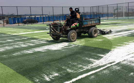 梳理人造草足球場圖片