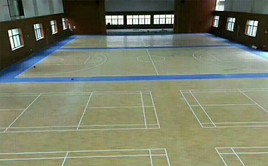 室內(nèi)pvc羽毛球場(chǎng)圖片