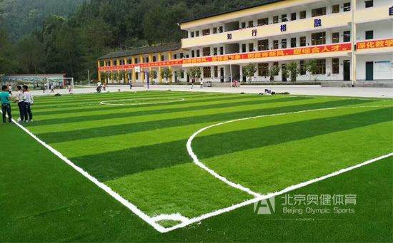 人工草坪足球場(chǎng)價(jià)格由什么決定